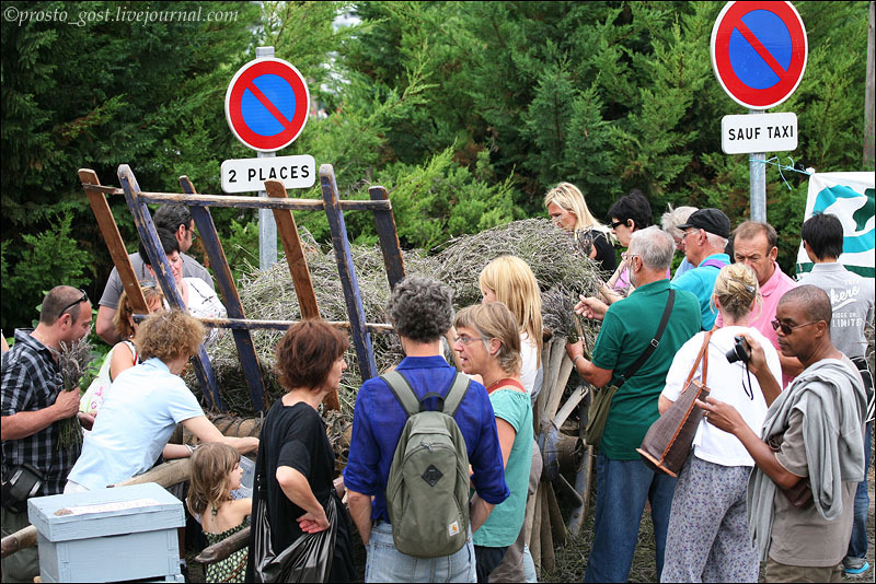 festval lavandy v provanse 