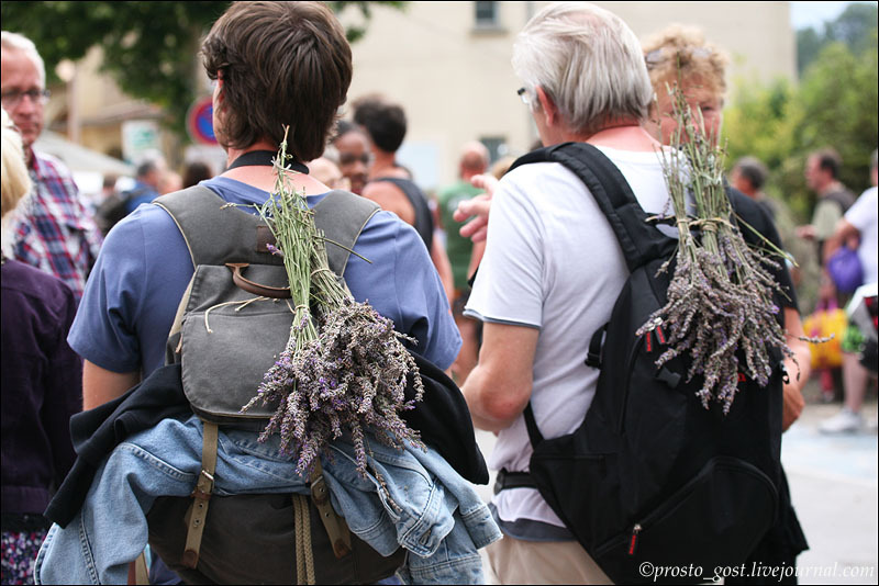 festval lavandy v provanse 