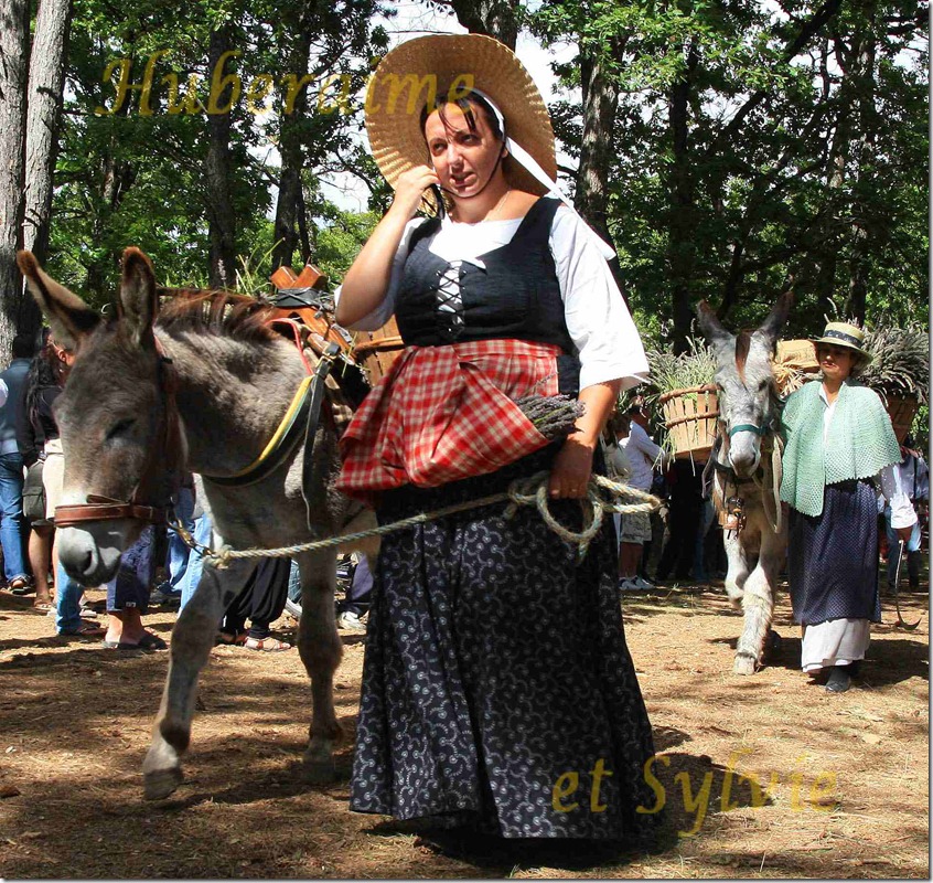 festval lavandy v provanse 