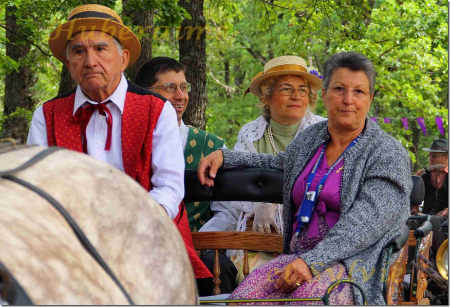 festval lavandy v provanse 